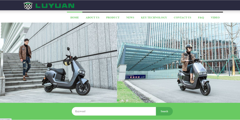 Luyuan best sale e bike